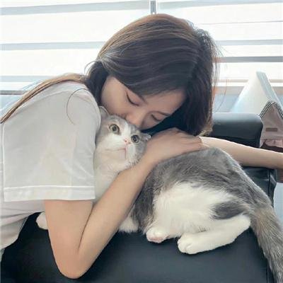 纽约侠客行